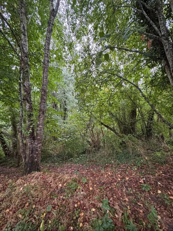 Terrain - 159 203 m²