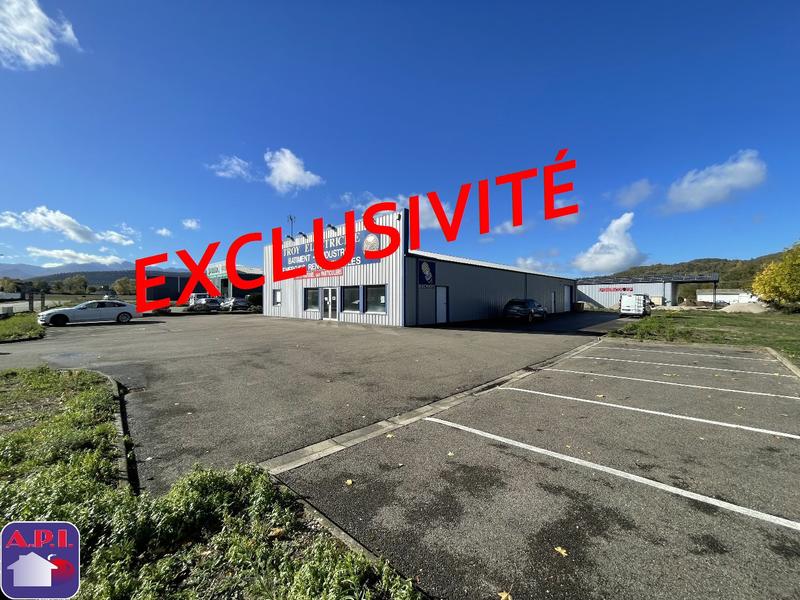 Local d'activités - 489 m²