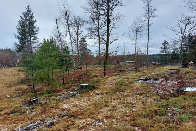 Maison - 70 m² - 2 pièces