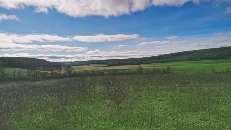 Terrain - 63 112 m²