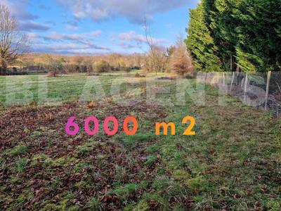 Terrain - 6 000 m²