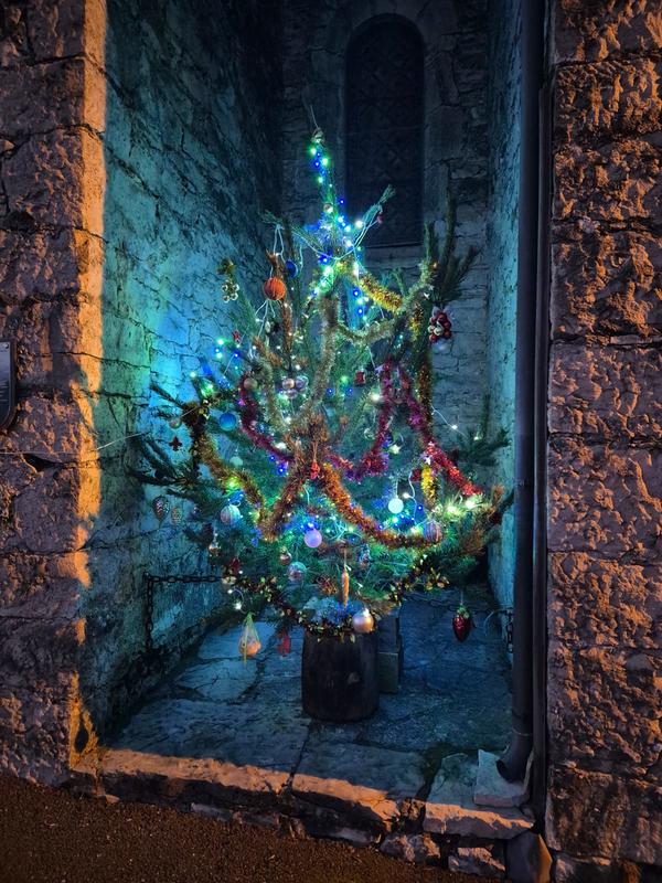 Crèche et Sapin de l'Église de la Piguière