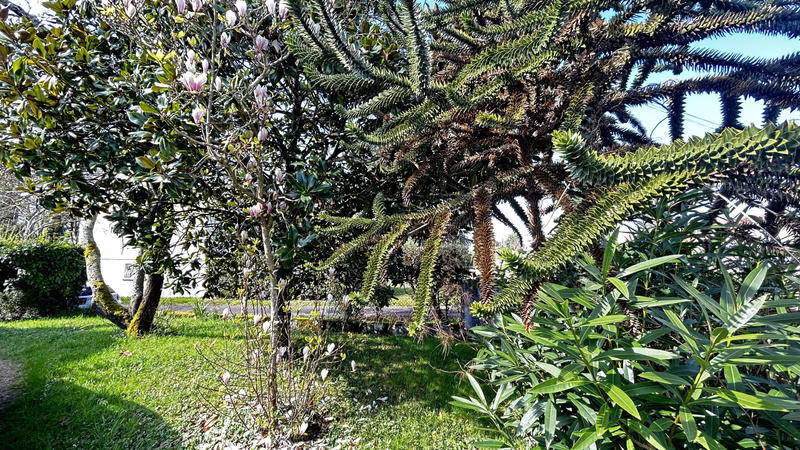 Maison - 236 m² - 7 pièces