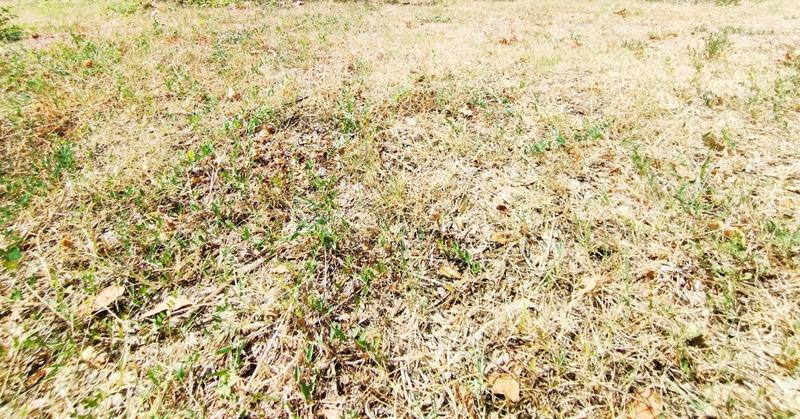 Terrain constructible - 850 m²