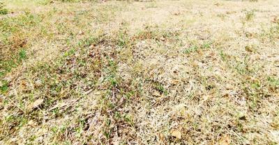 Terrain constructible - 850 m²