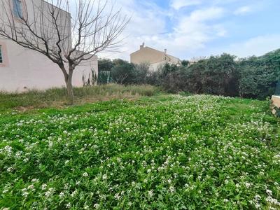 Terrain constructible - 363 m²