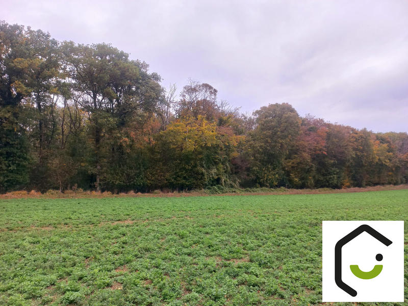 Terrain de loisirs - 21 208 m²