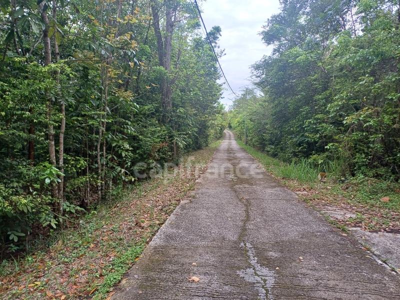 Terrain constructible - 6 000 m²