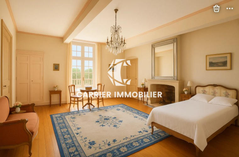 Château - 783 m² - 15 pièces