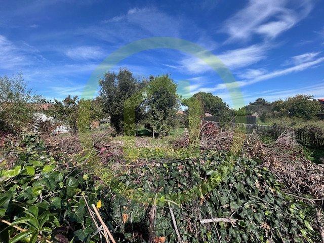 Maison - 156 m² - 6 pièces