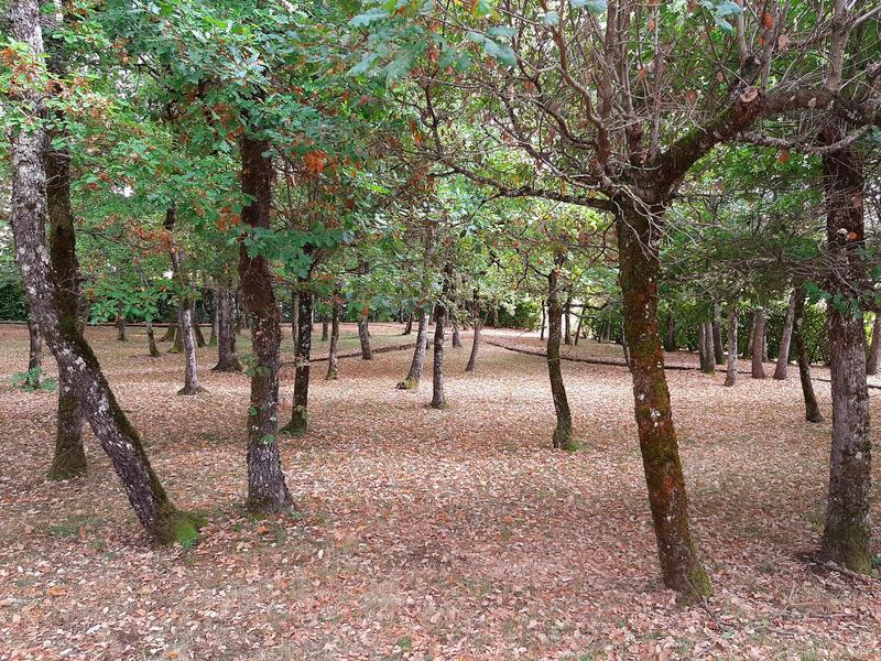 Villa - 185 m² - 6 pièces