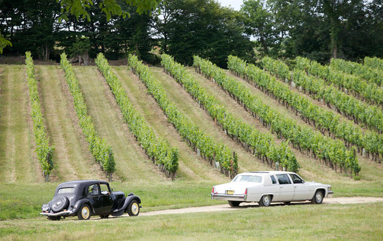 Journées portes ouvertes en Cadillac Côtes de Bordeaux