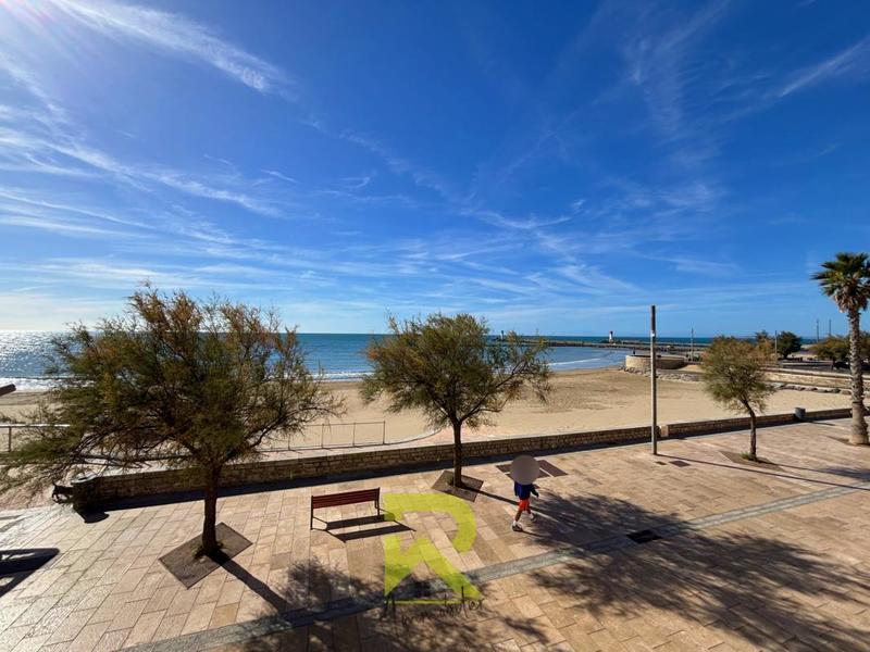 Duplex - 38 m² - 2 pièces