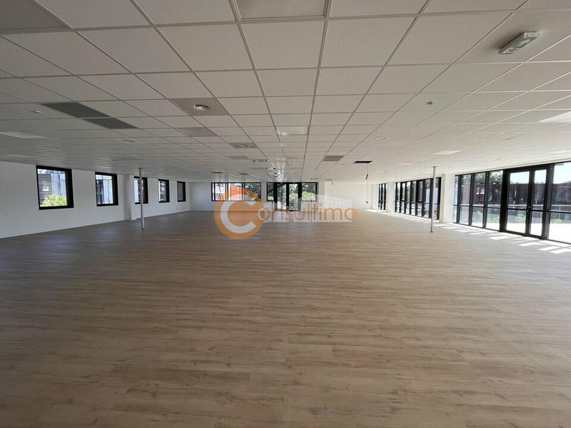 Bureau - 1 000 m²