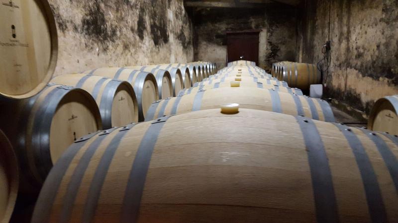 Maison - 552 m² - 16 pièces