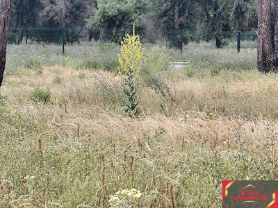 Terrain agricole - 1 450 m²