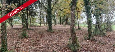 Terrain constructible - 2 487 m²