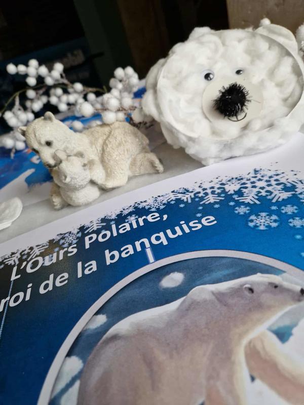 Atelier créatif : l’ours blanc, le roi de la banquise
