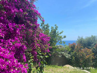 Maison - 200 m² - 7 pièces