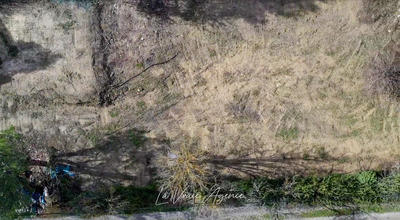 Terrain - 741 m²