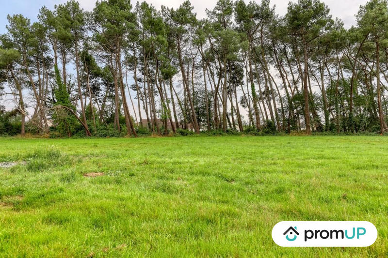 Terrain de loisirs - 946 m²