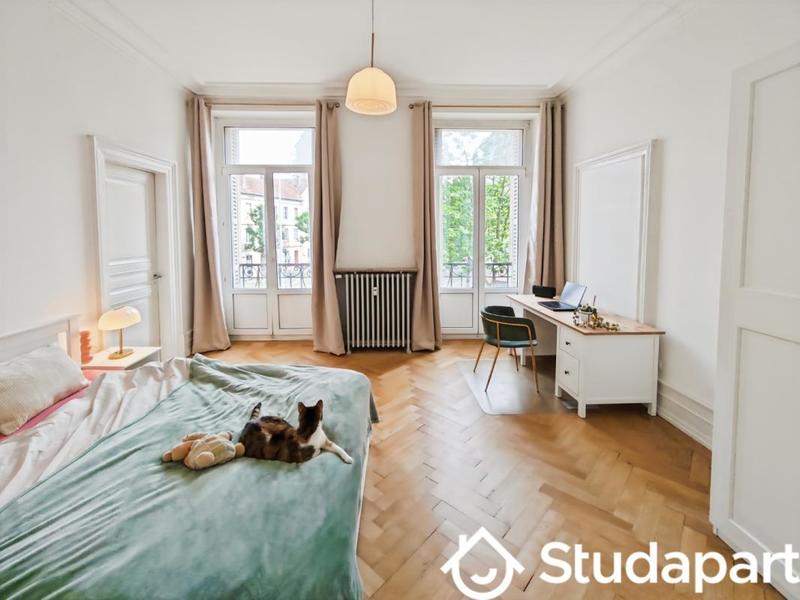 Chambre - 16 m² - 1 pièce