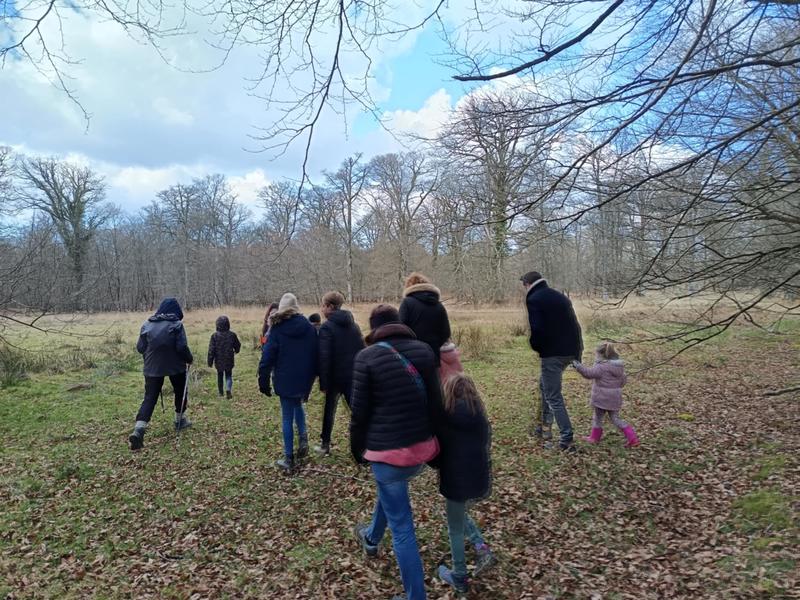 Rendez-vous créatif : "L'amour est dans les bois"