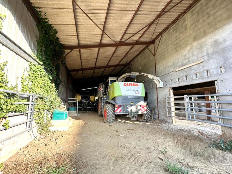 Corps de ferme - 1 600 m² - 1 pièce