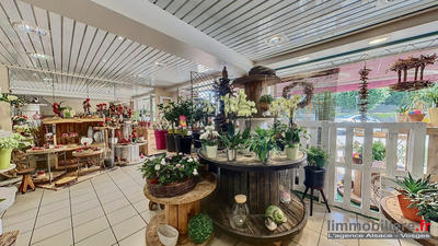 Fonds de commerce - Magasins - 100 m²