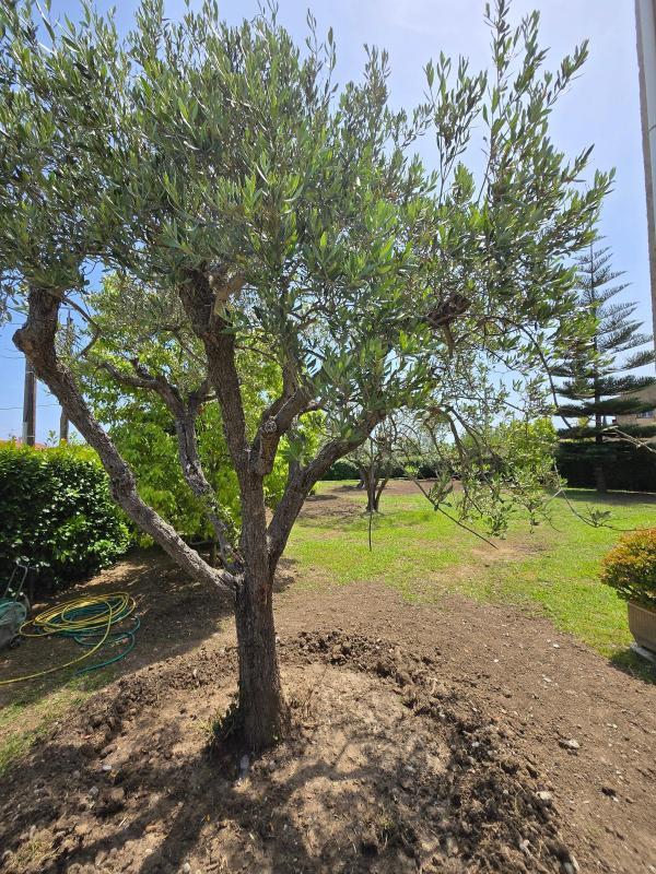 Villa - 245 m² - 7 pièces