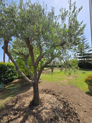 Villa - 245 m² - 7 pièces