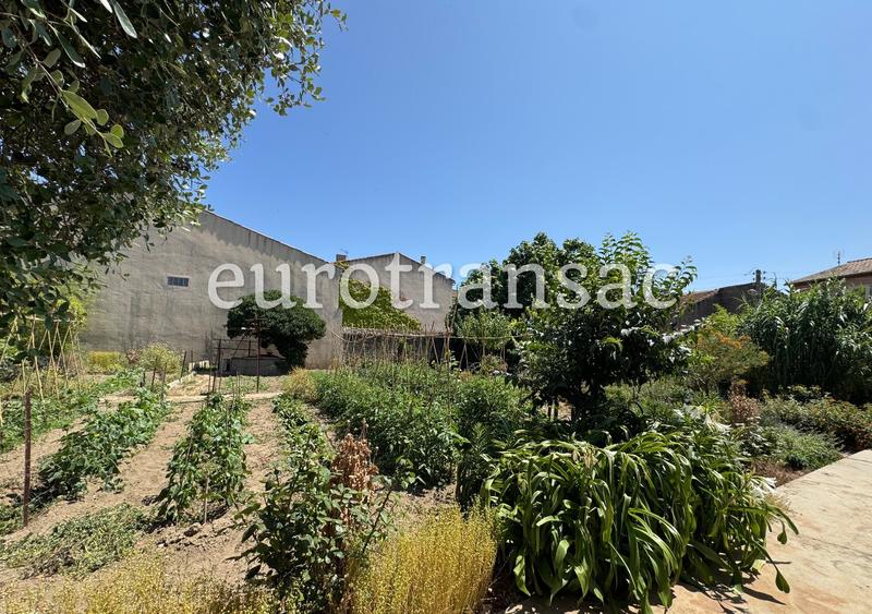 Propriété viticole - 146 m² - 5 pièces