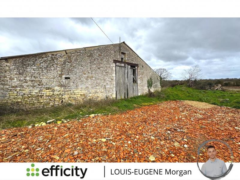 Maison - 593 m² - 10 pièces