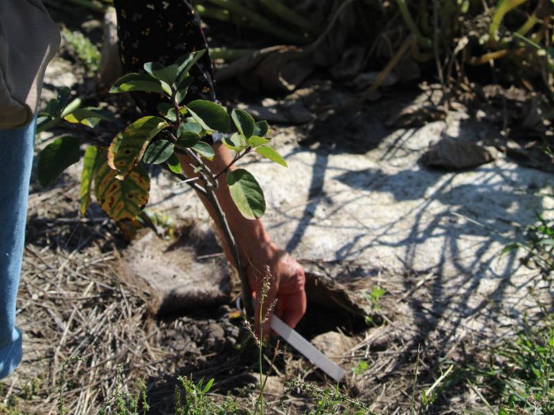 Semaine de la Biodiversité - Chantier participatif - Plantation d'une haie champêtre à Terres d'Oiseaux