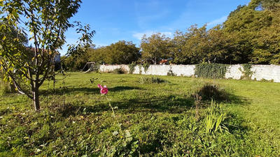 Terrain - 1 487 m²