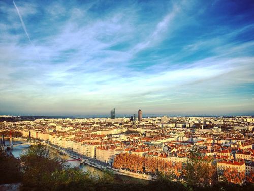 Jardin des Curiosités