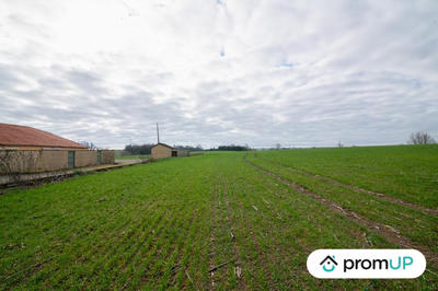 Terrain agricole - 8 000 m²