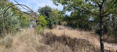 Terrain - 38 170 m²