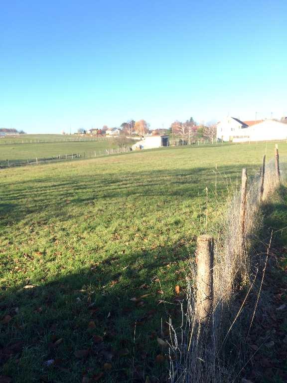 Terrain constructible - 2 737 m²