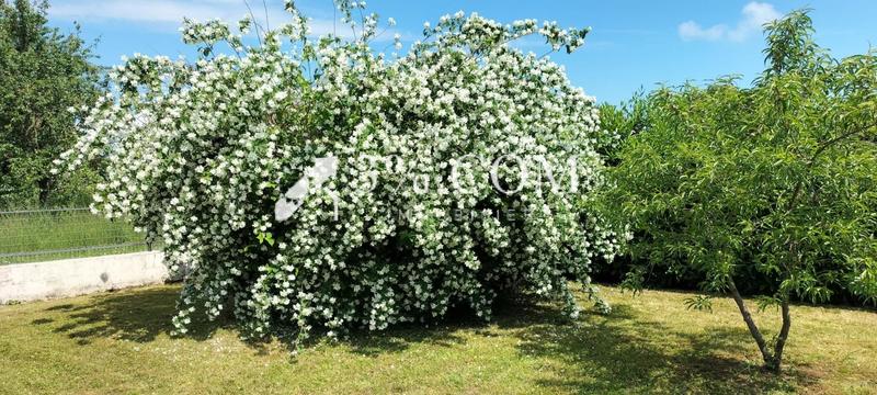 Maison - 147 m² - 7 pièces