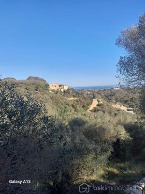 Villa - 318 m² - 10 pièces