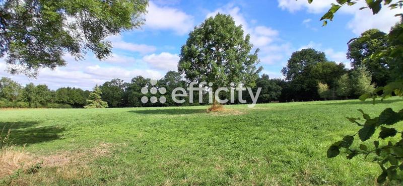 Propriété - 205 m² - 6 pièces