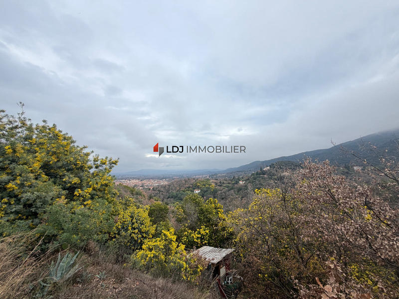 Terrain agricole - 6 500 m²