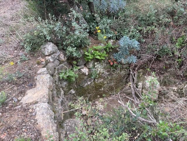 Terrain agricole - 10 160 m²