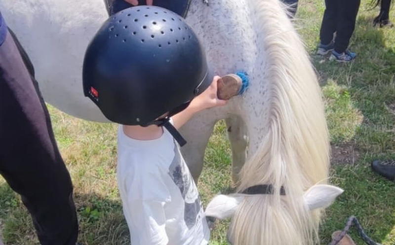 Les balades à cheval