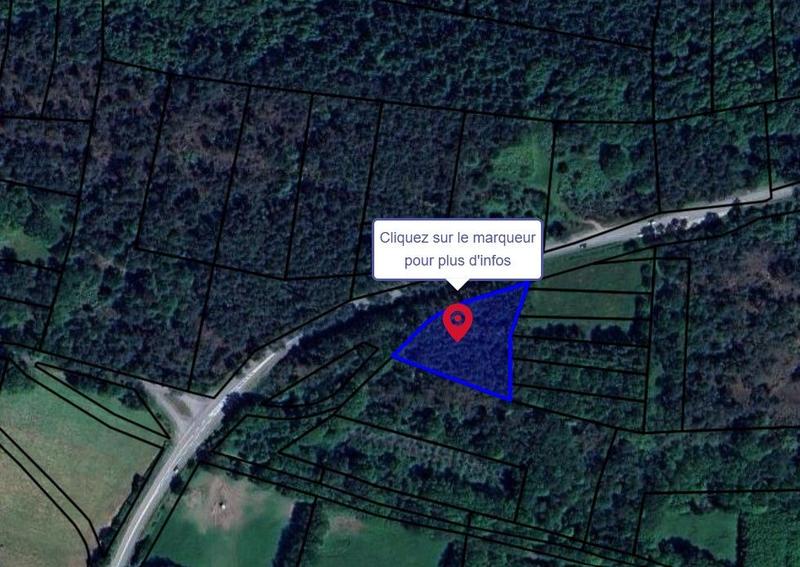 Terrain de loisirs - 49 615 m²