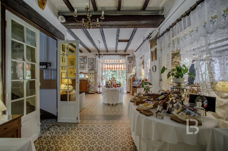 Maison - 500 m² - 20 pièces