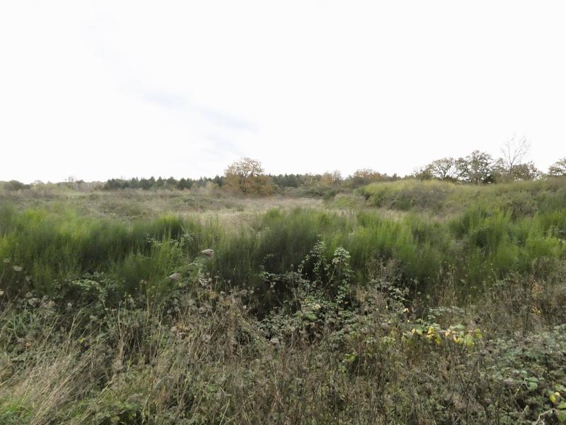 Terrain agricole - 20 600 m²