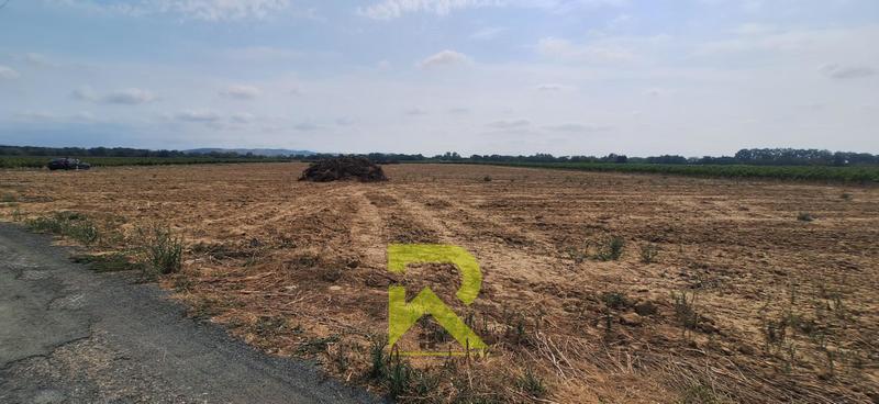 Terrain agricole - 19 800 m²
