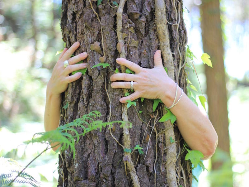 Atelier pour enfants - les secrets de la forêt